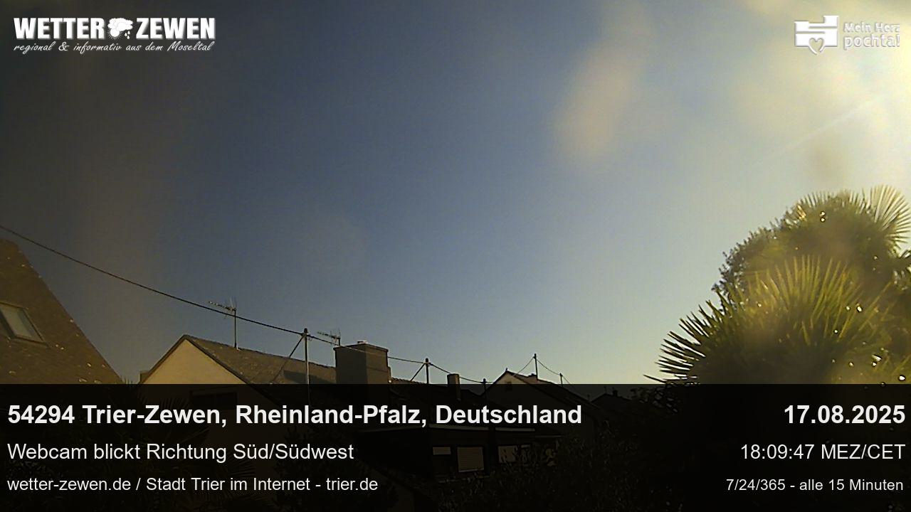 Bild