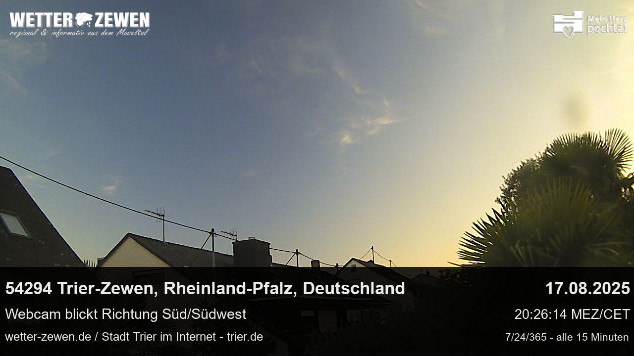 Bild