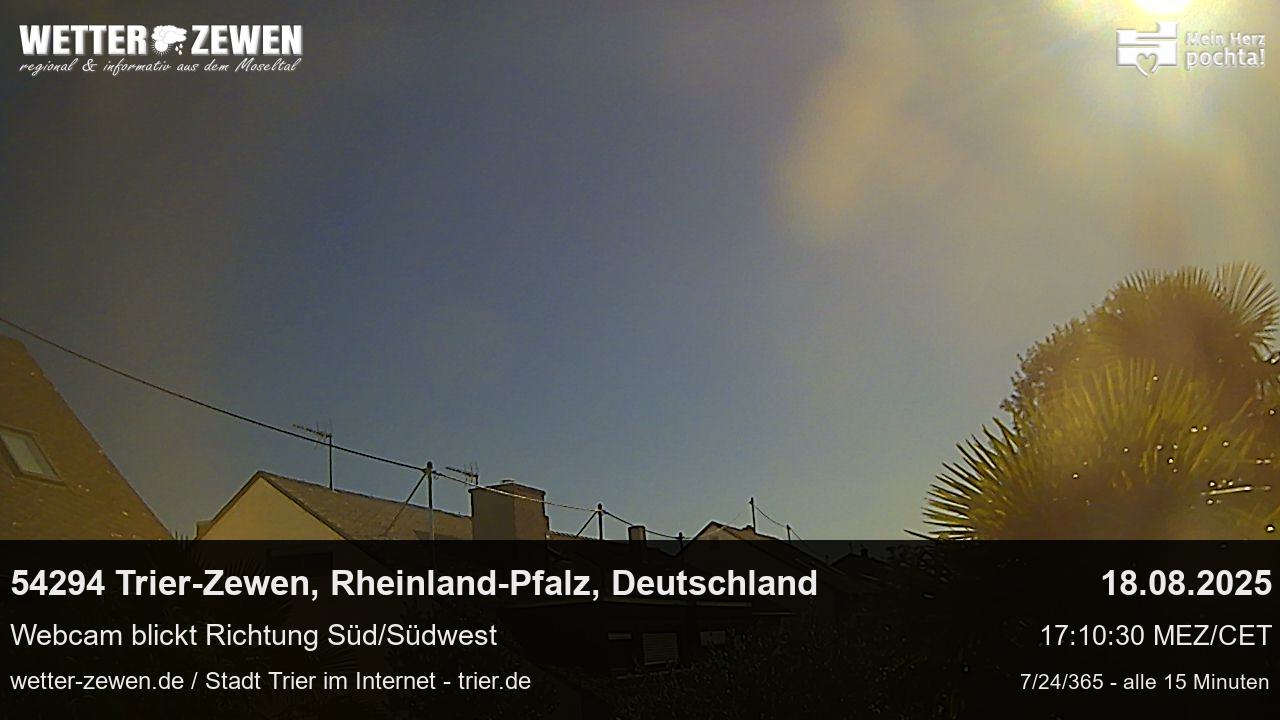 Bild