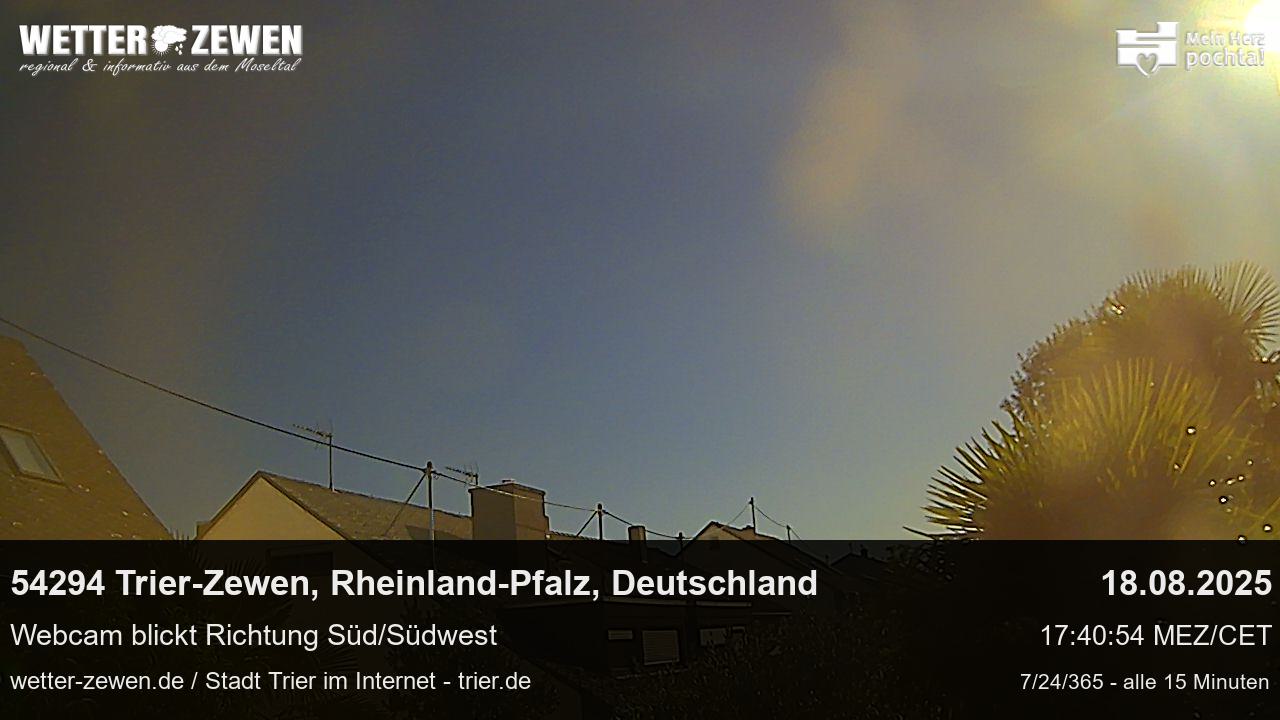 Bild