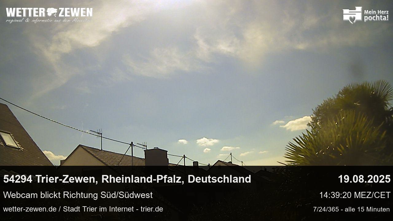 Bild