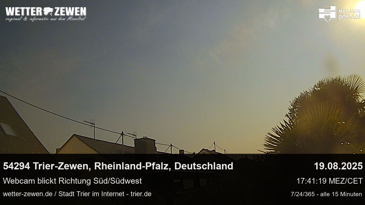 Bild