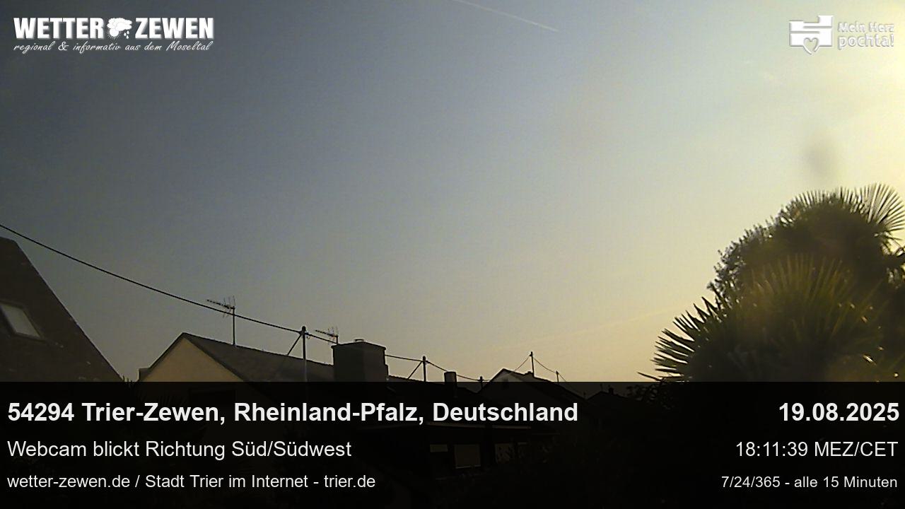 Bild