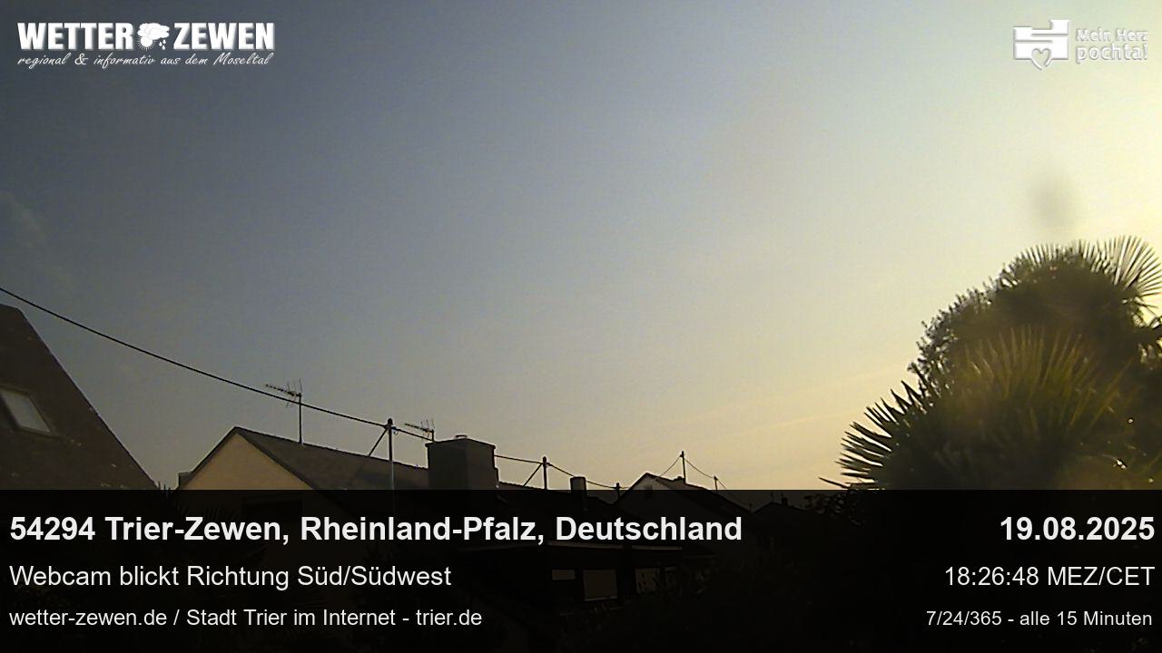 Bild