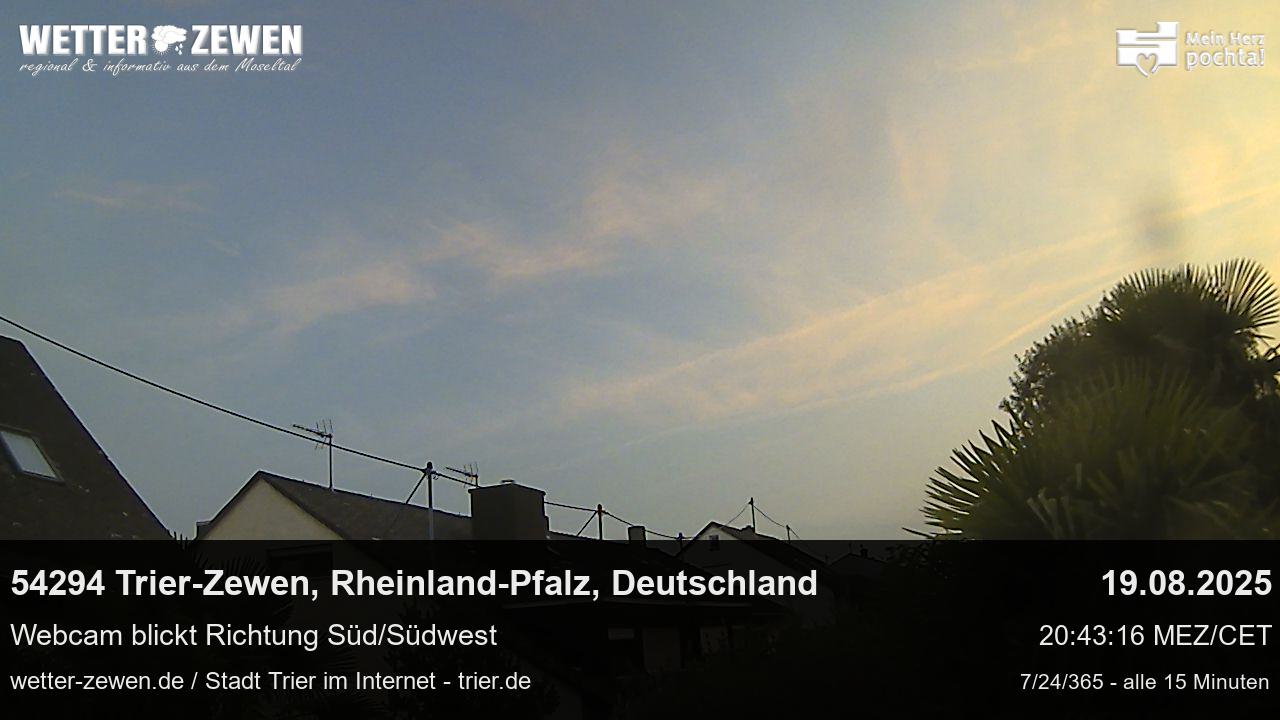 Bild