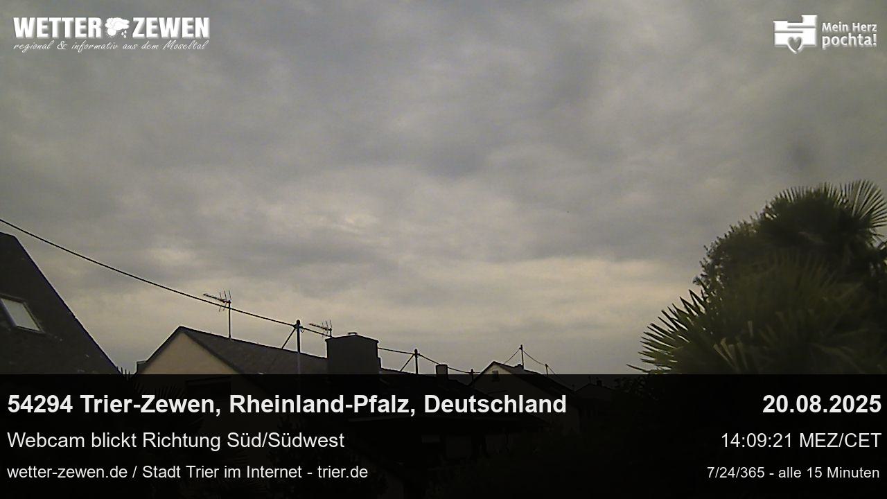 Bild