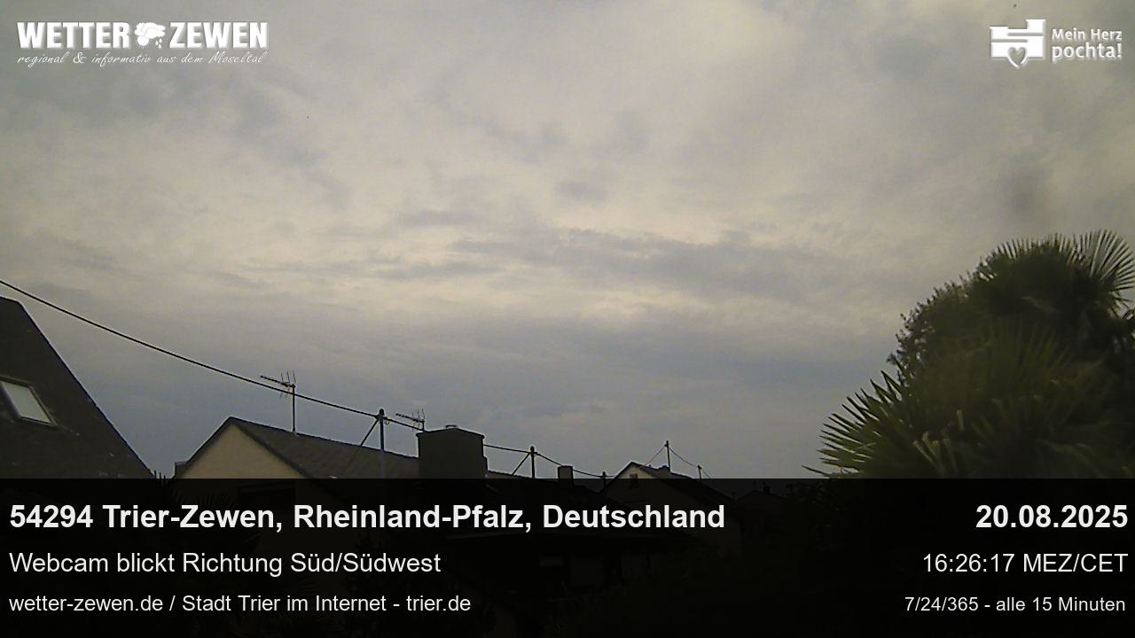 Bild
