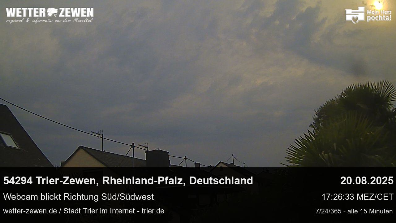 Bild