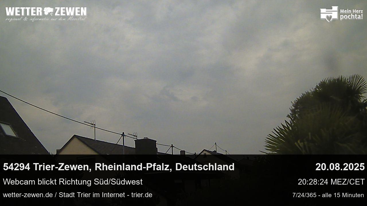 Bild