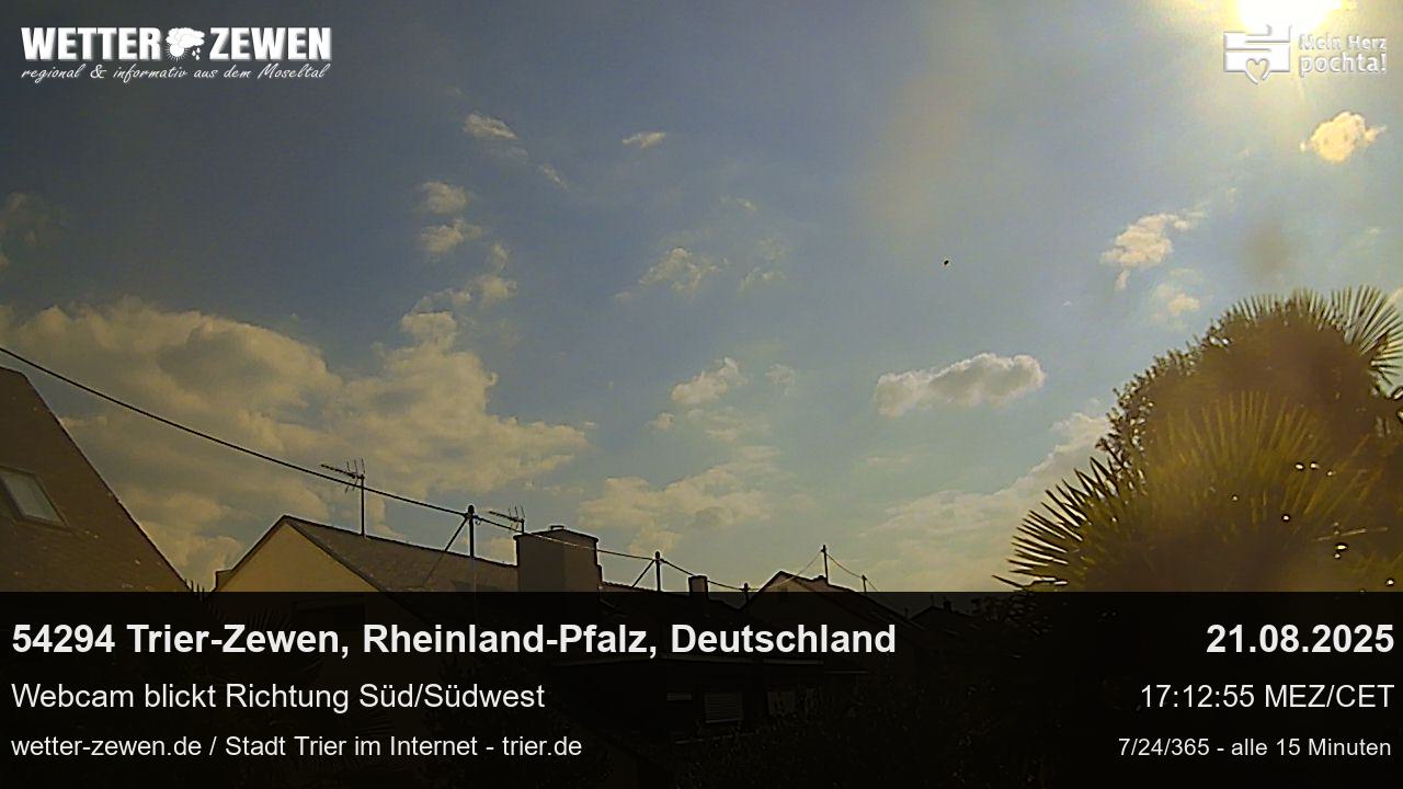 Bild