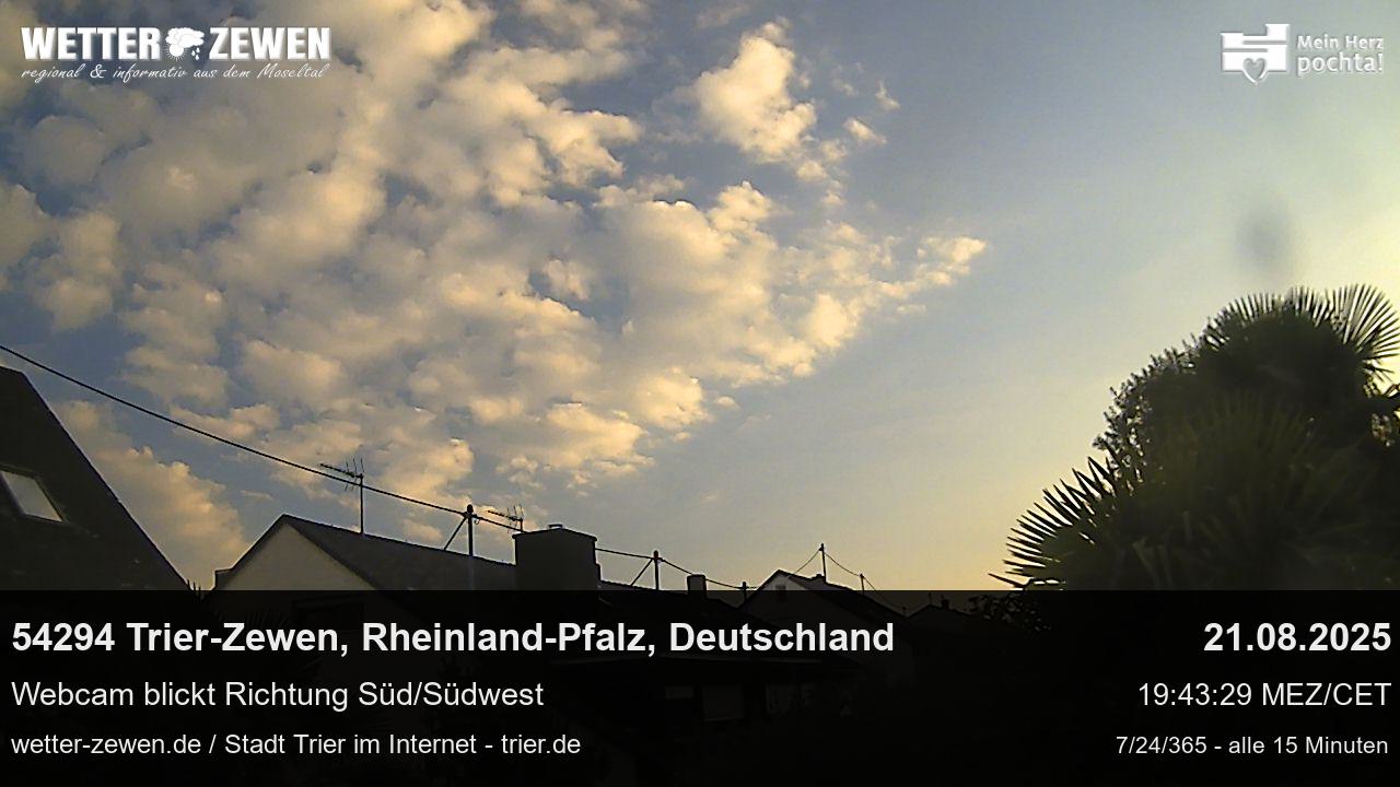 Bild