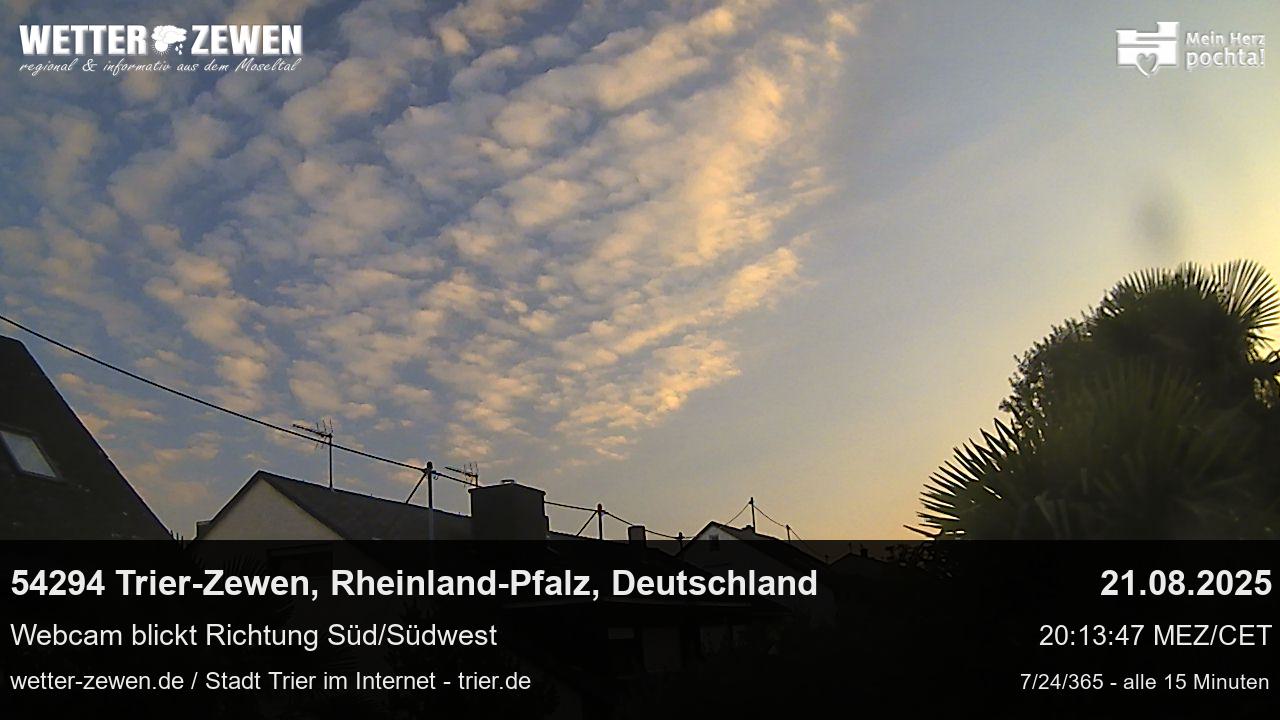 Bild