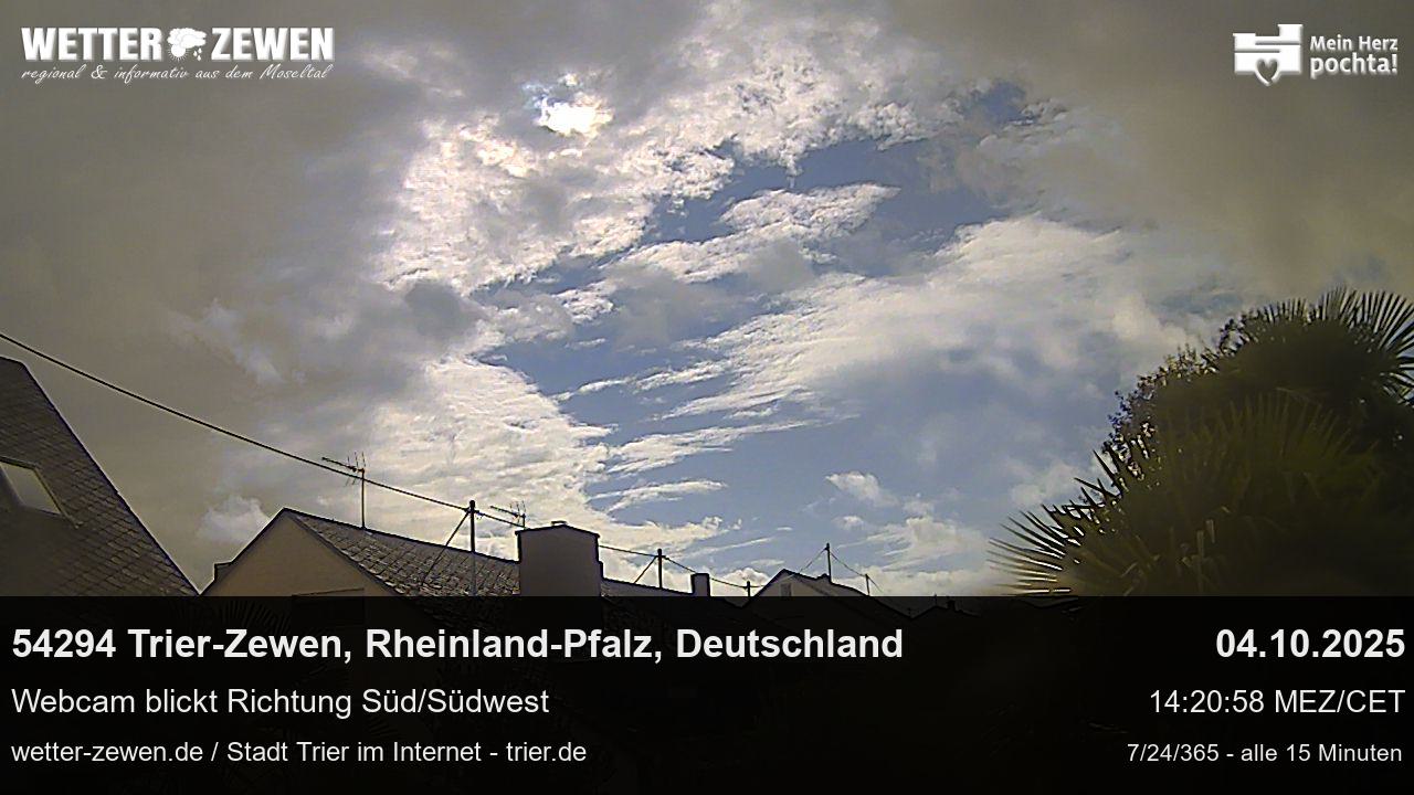 Bild