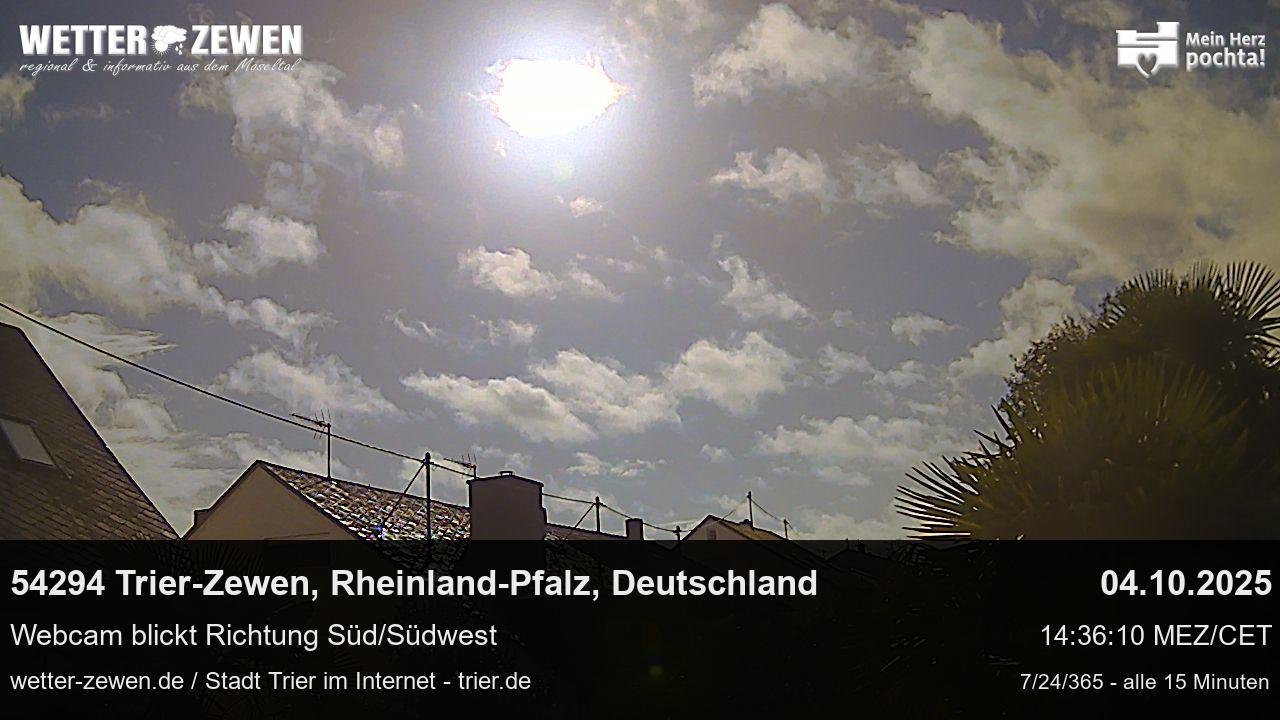 Bild