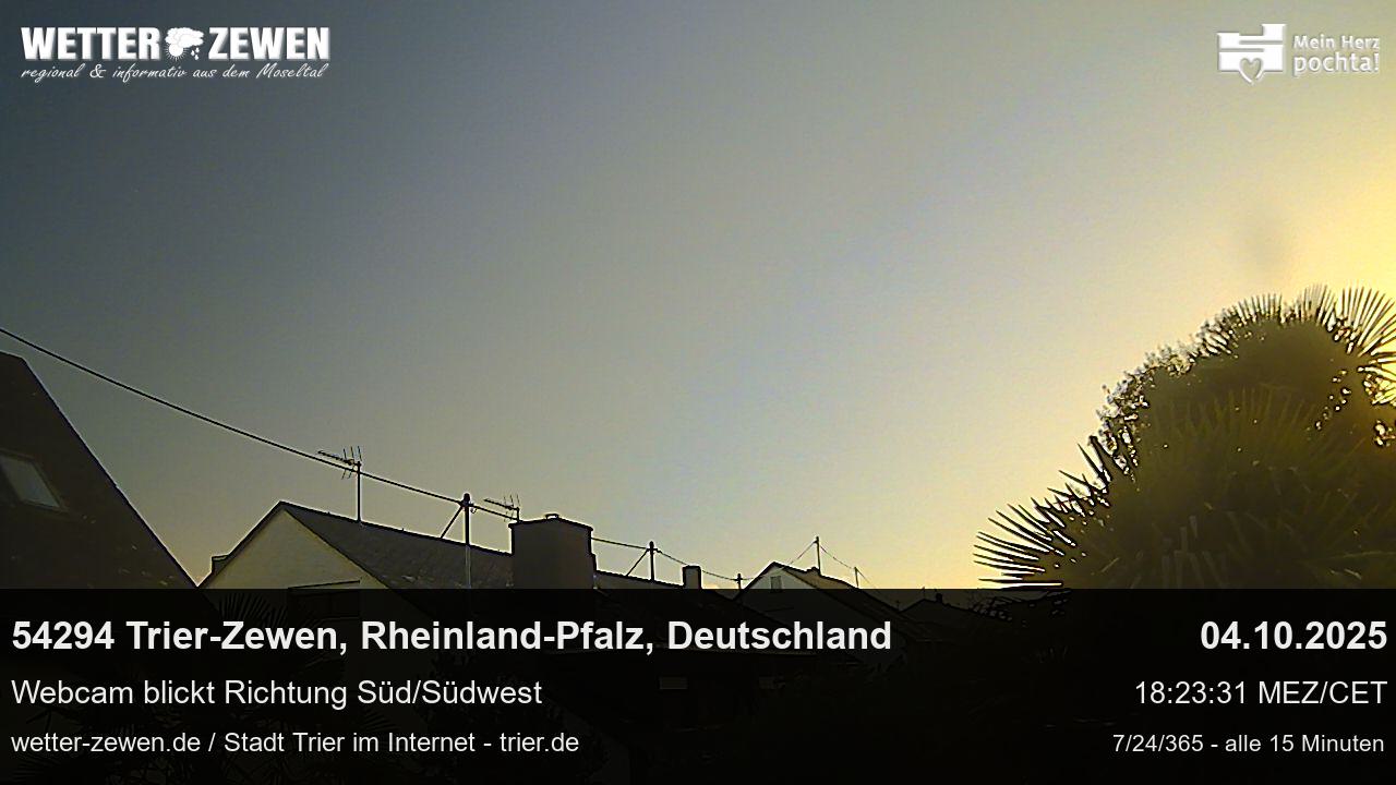 Bild