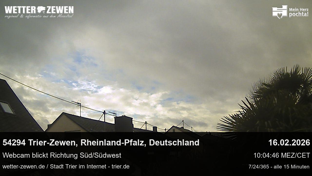 Bild