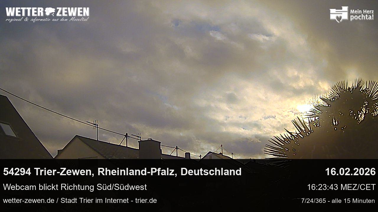 Bild