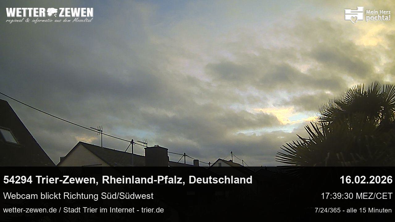 Bild
