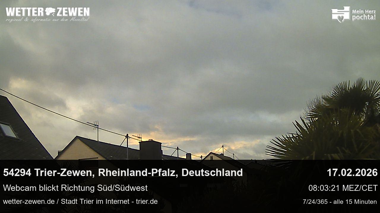 Bild