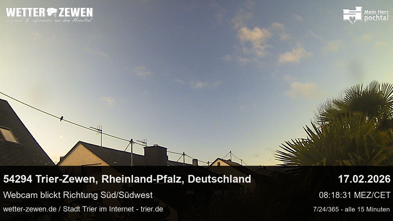 Bild