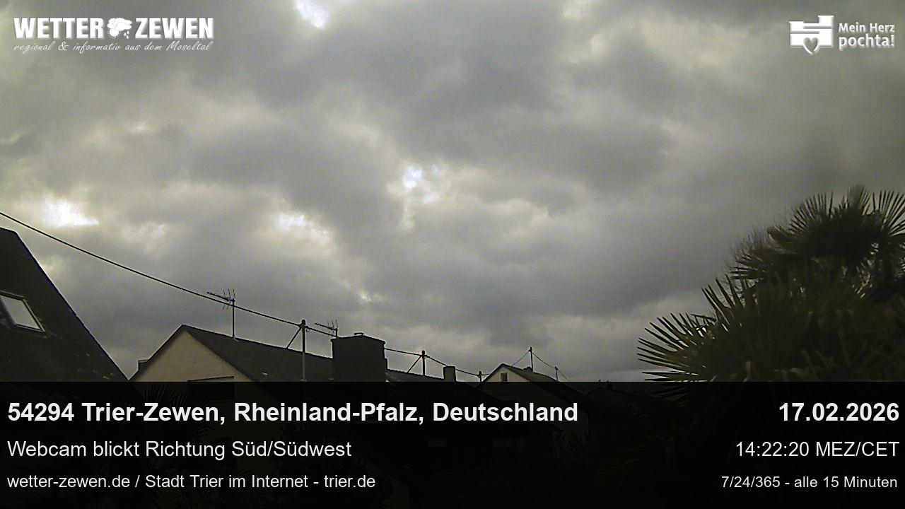 Bild