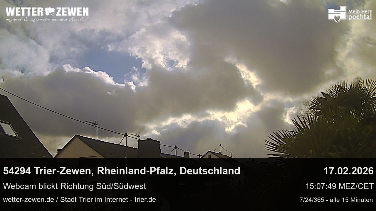 Bild