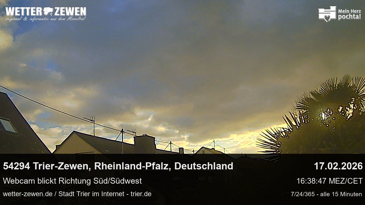 Bild
