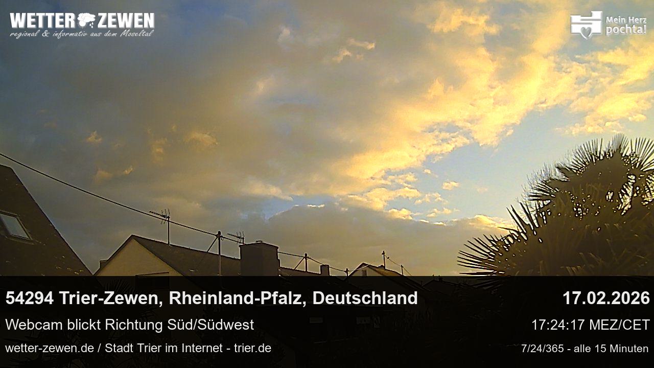 Bild