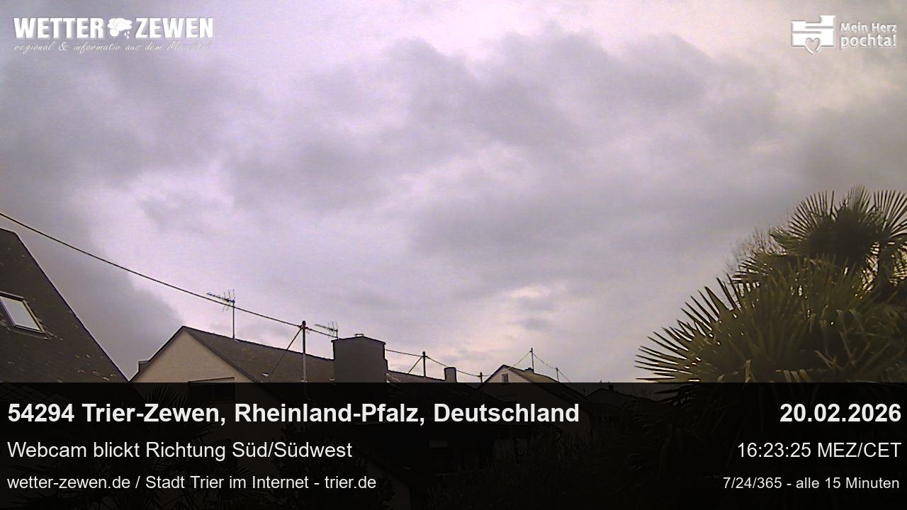 Bild
