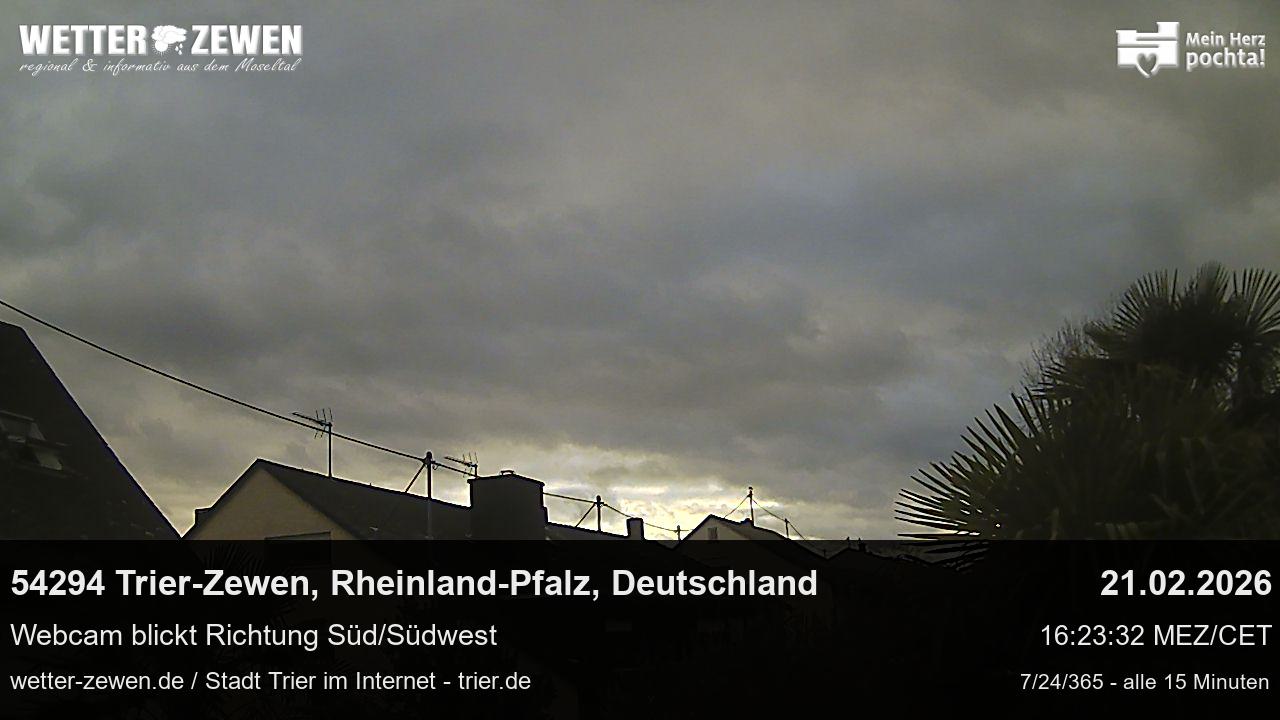 Bild