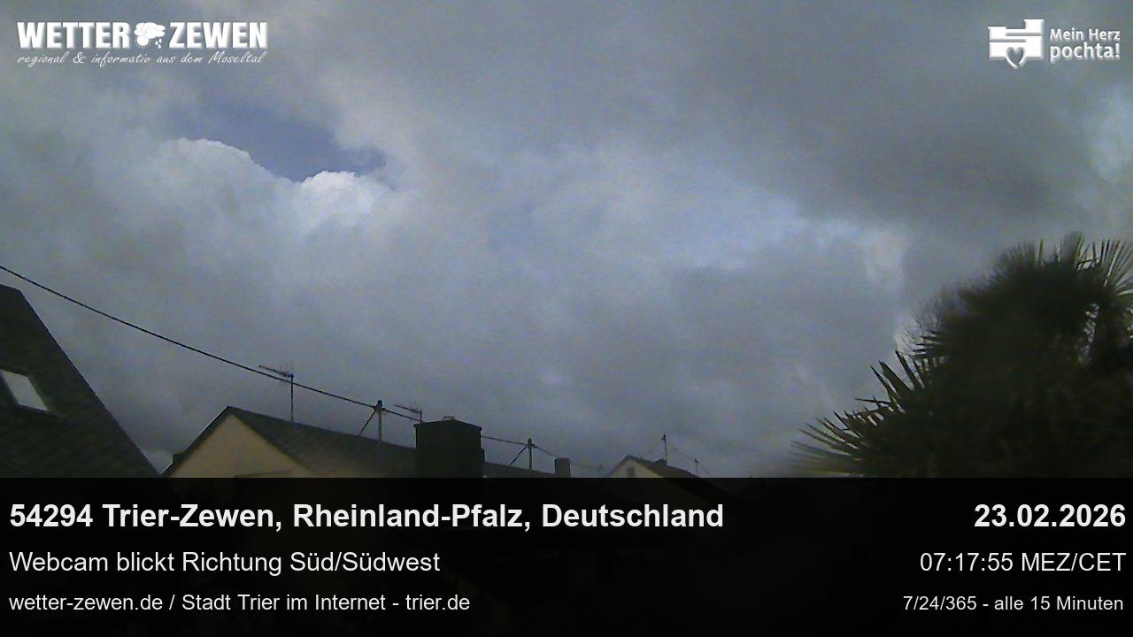 Bild