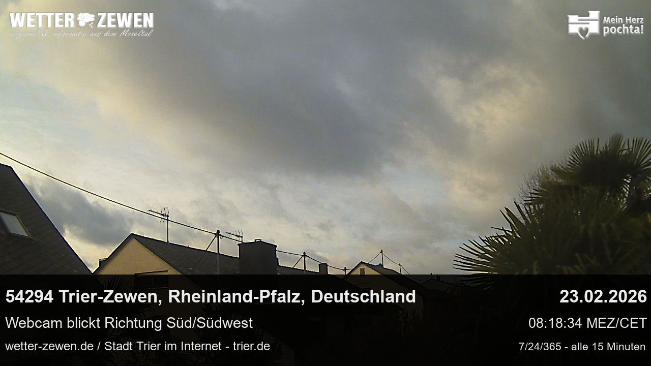 Bild