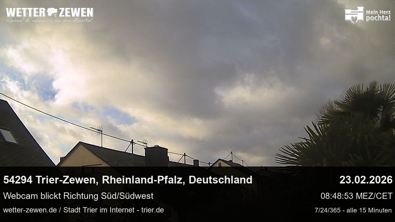 Bild