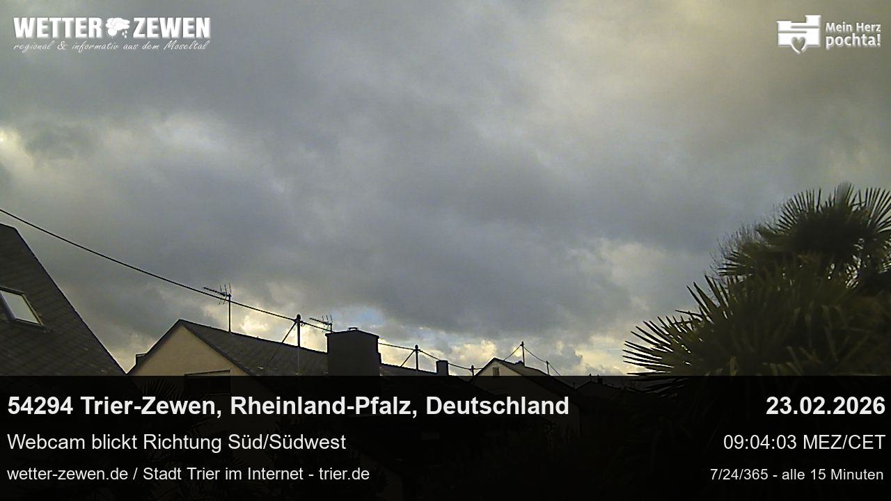 Bild
