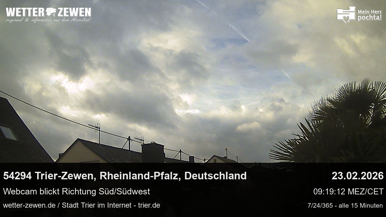 Bild