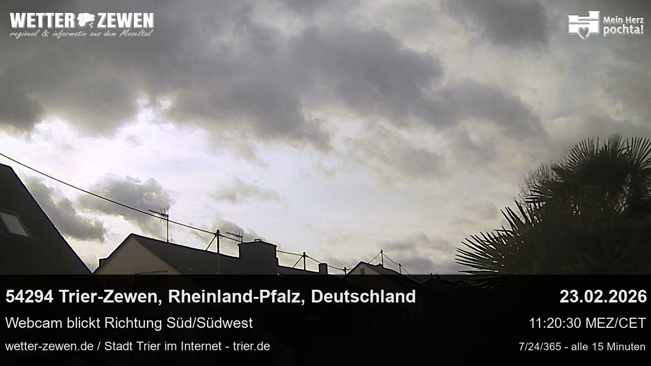 Bild