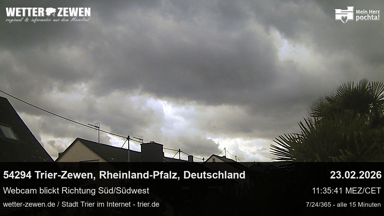 Bild