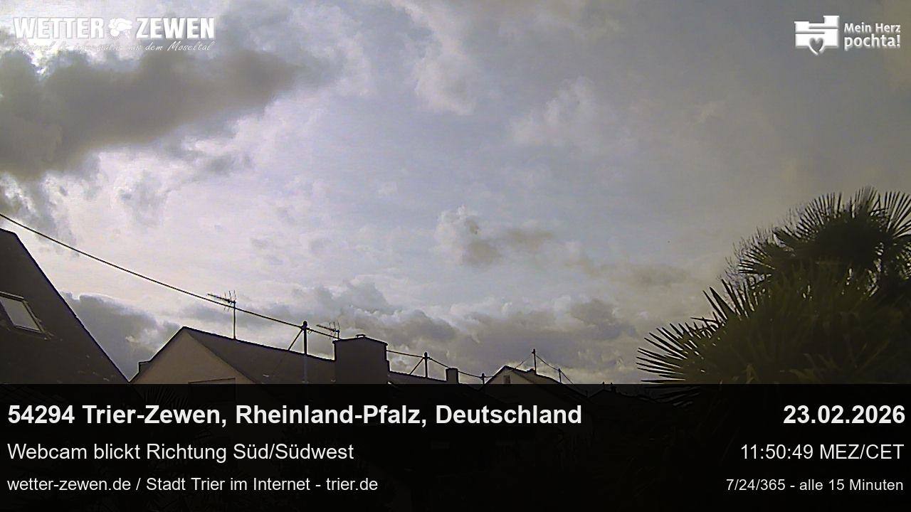 Bild