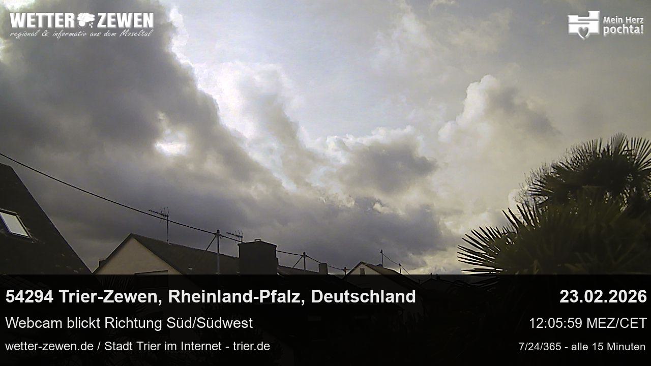 Bild