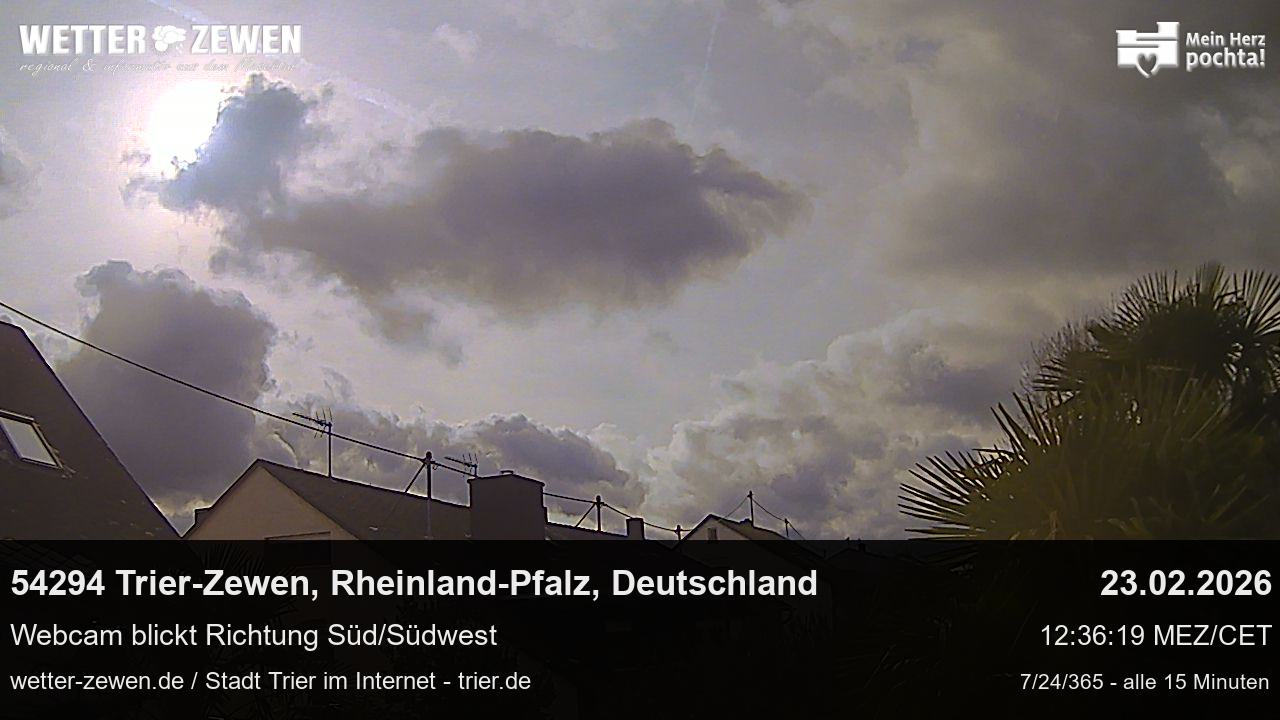 Bild