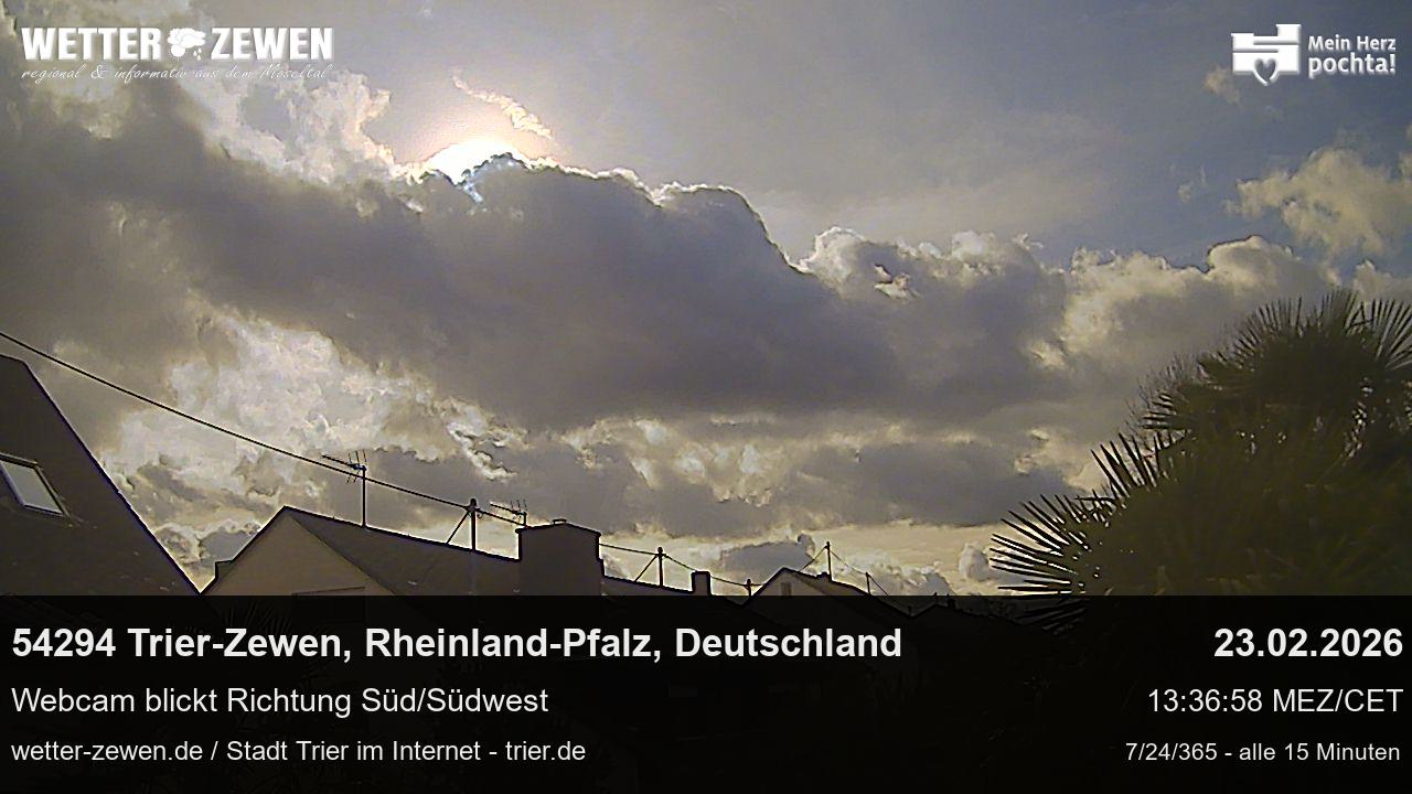 Bild