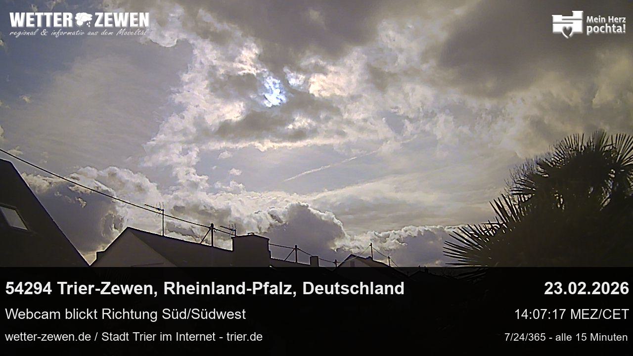 Bild