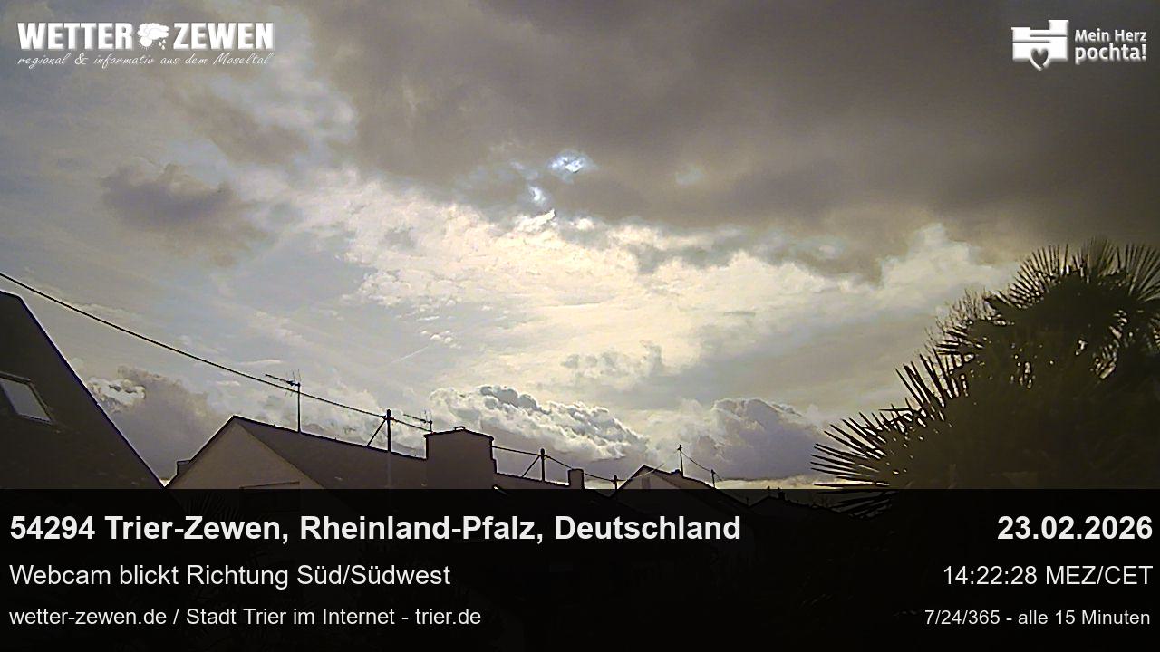 Bild