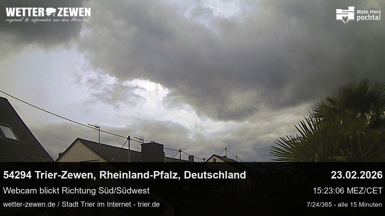 Bild
