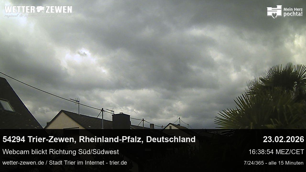 Bild