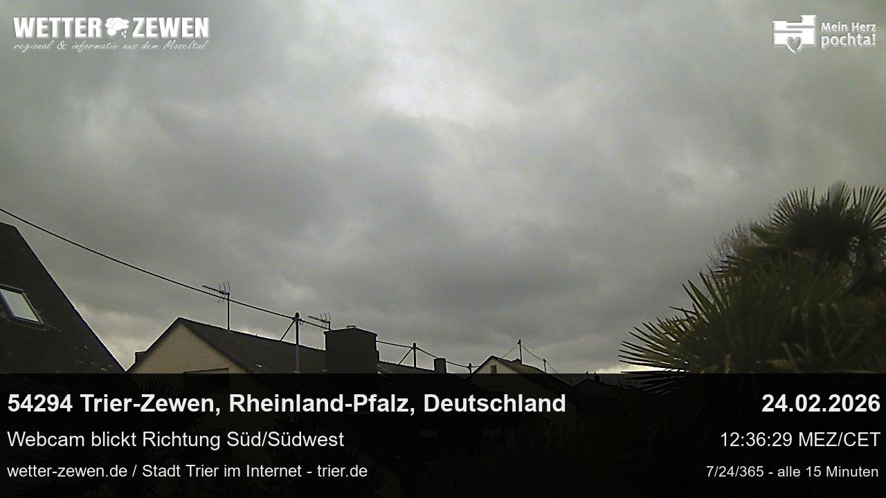 Bild