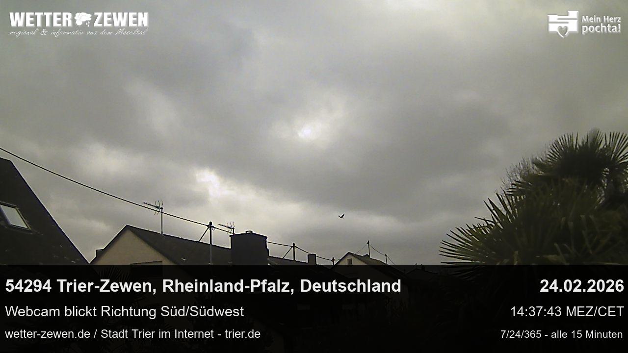Bild