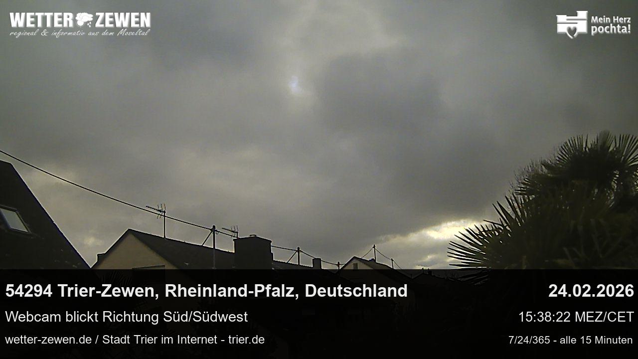 Bild