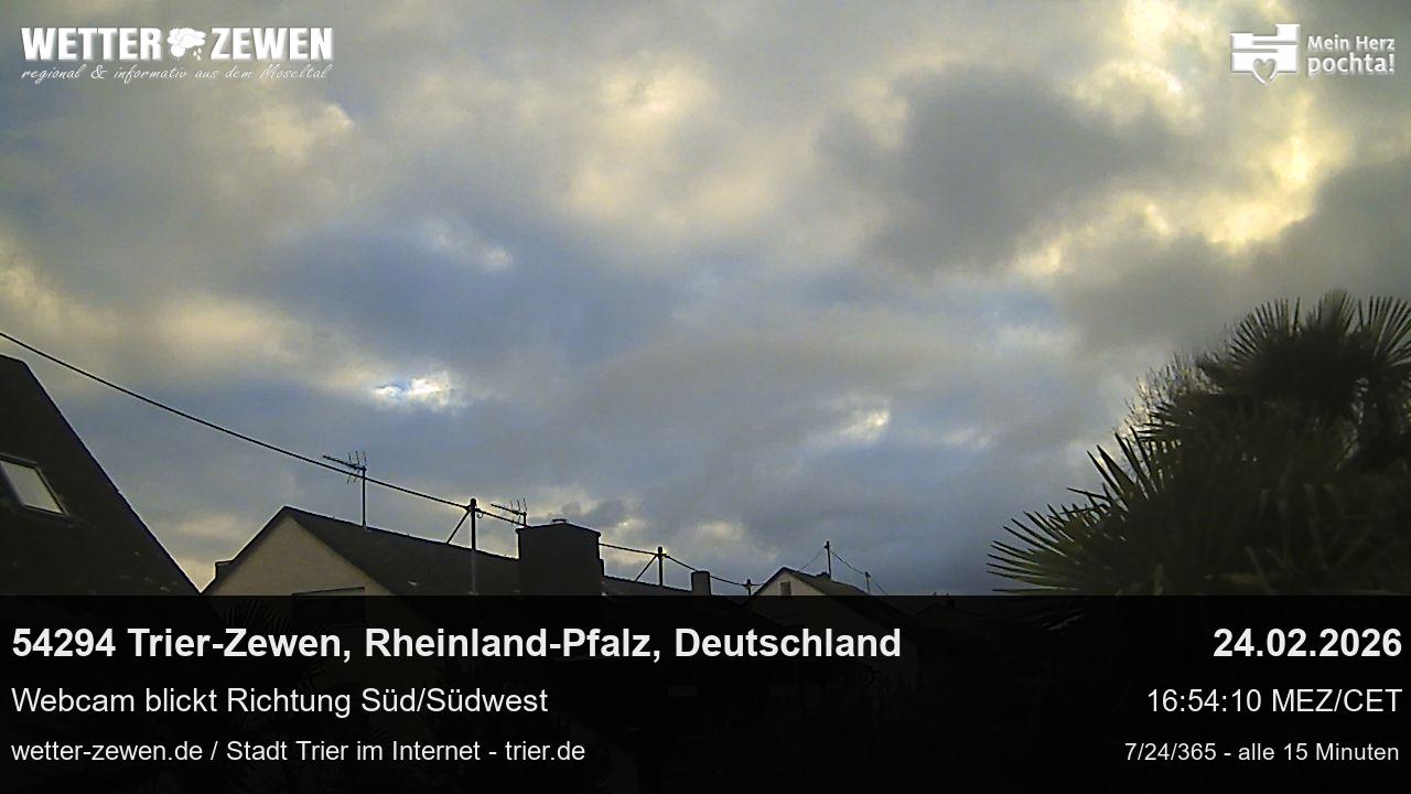 Bild