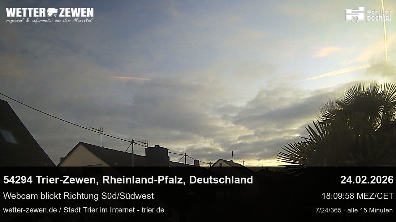 Bild